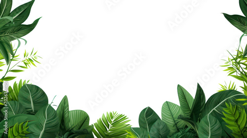 Green Leaves Border isolated on white background, isolated on transparent and white background.PNG image.
