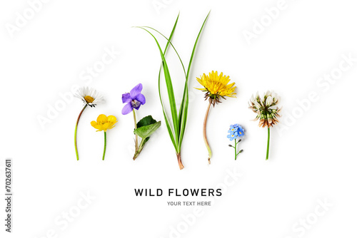 Meadow flowers and grass creative layout isolated on white background. #702637611