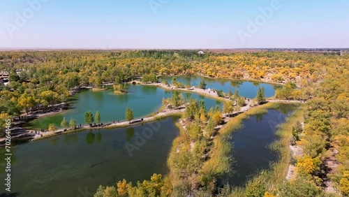 landscape with lake and trees