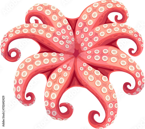 Octopus, cartoon seafood, sea food cuisine and cooking product, isolated vector. Raw or cooked whole octopus for seafood delicatessen dish, sushi bar menu or fish market product package