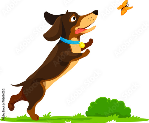 Cartoon dachshund dog puppy characters delights in catching butterflies. Vector pet with wagging tail playfully chases the colorful winged creatures, spreading joy and capturing the beauty of nature