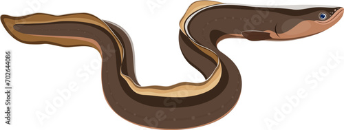 Cartoon sea conger eel character. Aquatic wild animal, fishing catch or seafood isolated vector funny personage. Underwater wildlife fish cute mascot or conger eel cheerful character