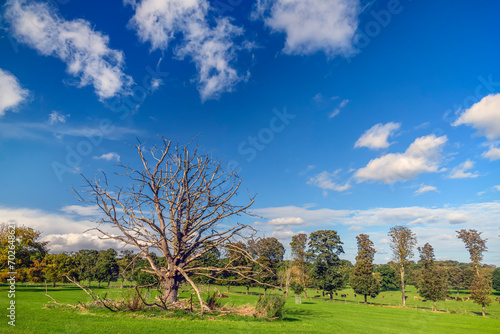landscape with trees and clouds, Nostell