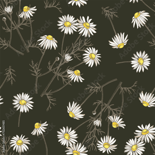 camomile plant hand seamless pattern