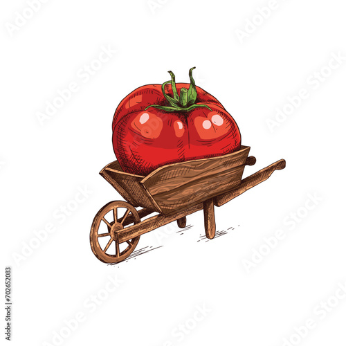 Hand drawn farmer wooden cart with red tomato. Farm fresh delivery design template. Vector illustration isolated on white background.