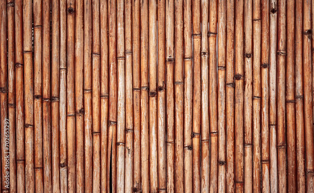 Bamboo wood wall texture. Old bamboo tubes fence. Bamboo wood wall texture. Old bamboo tubes fence.