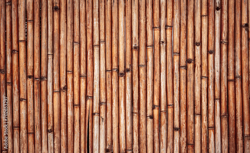 Bamboo wood wall texture. Old bamboo tubes fence.