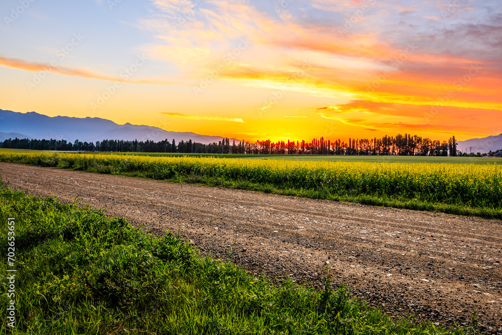 Fototapeta premium Country gravel road and green farmland with mountain nature landscape at sunset