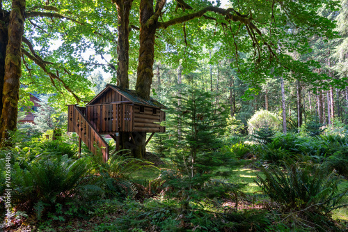 Wooden tree house nestled in a lush forest © Wirestock