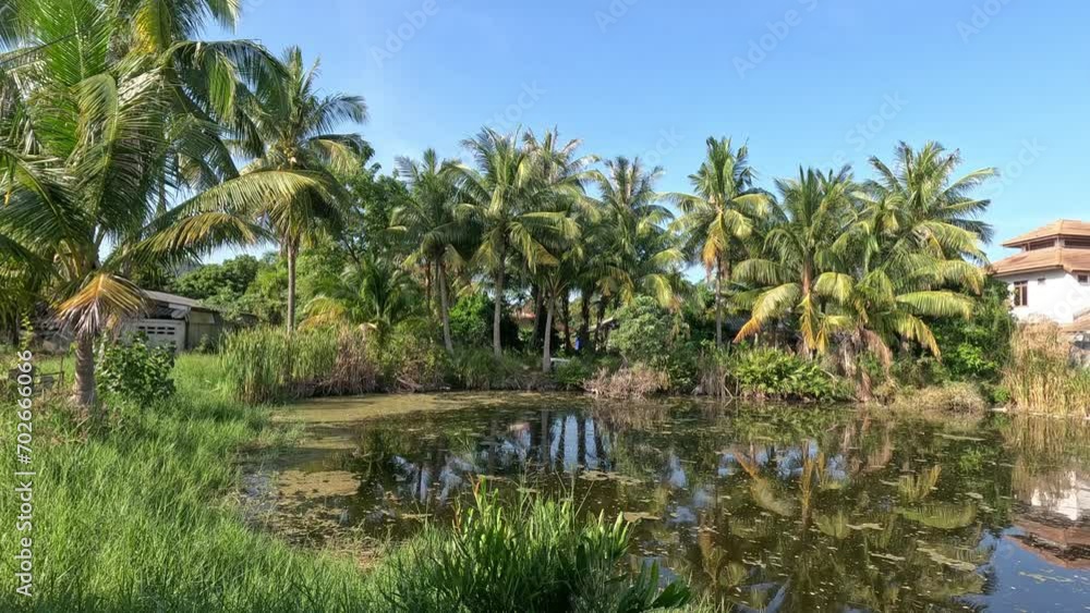 Tropical Riverside Scenery Tropical Riverside Scenery