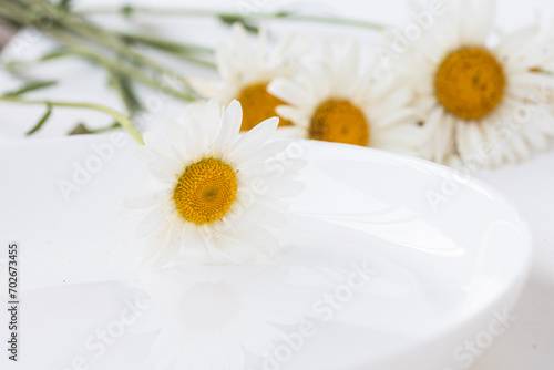 Close up of beautiful chamomile flowers on white plate. Table d  cor  product display or design key visual layout. Mock up  close up