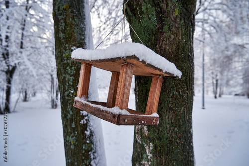 Wooden bird feeder hanging on a tree in the winter forest