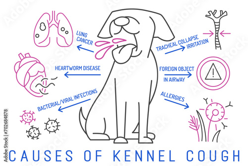 Causes of kennel cough in dogs. Dog diseases concept. photo