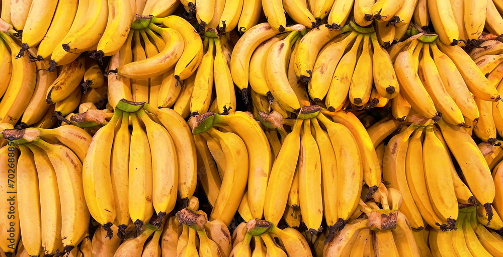 Abundant ripe bananas fill the horizontal wallpaper with a vibrant yellow hue, symbolizing the bountiful harvest of the autumn season.