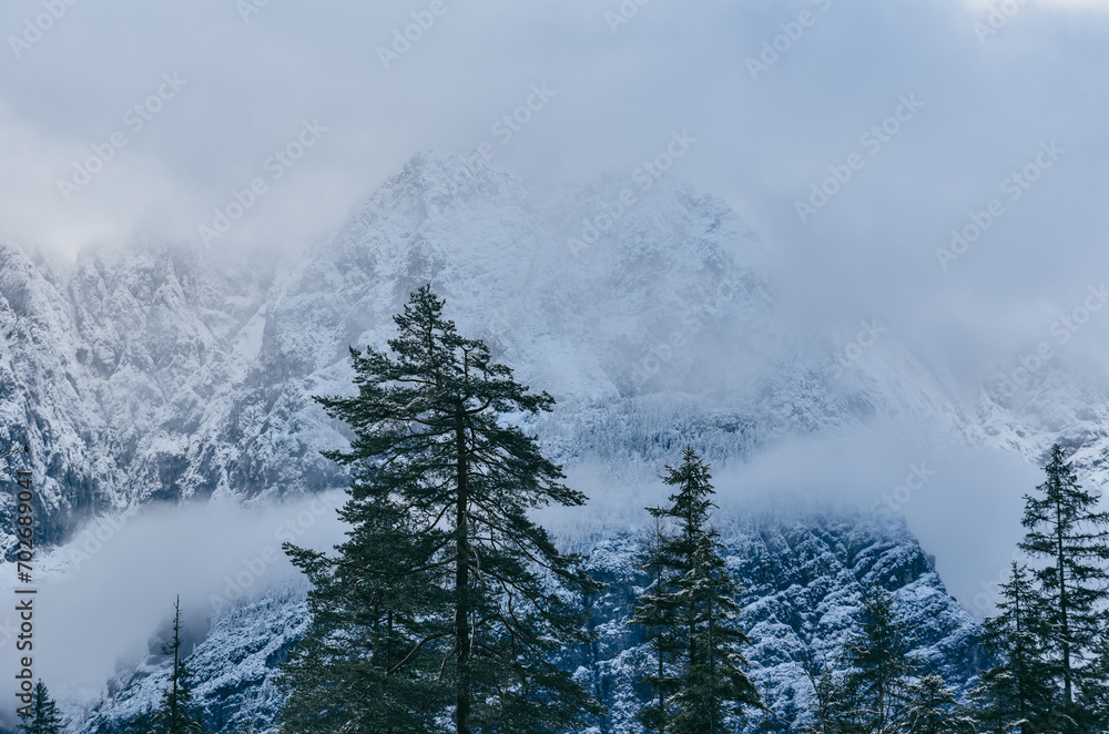 Beautiful winter landscape with snow covered trees under rocky mountain peaks