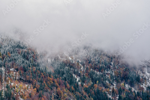 Mountain slope with misty forest and snow on cold autumn day