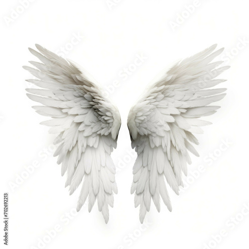 Wings isolated on white background