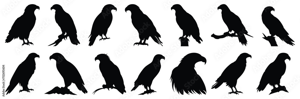 Fototapeta premium Eagle silhouettes set, large pack of vector silhouette design, isolated white background