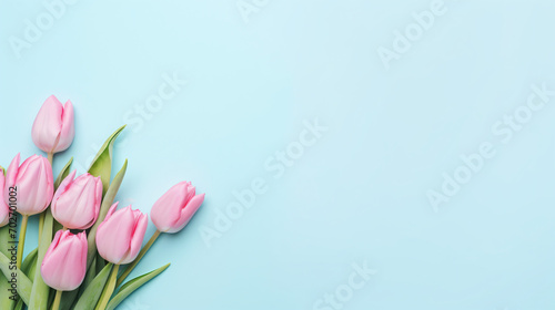 Creative Floral composition. Pink tulip tulips flowers on blue background