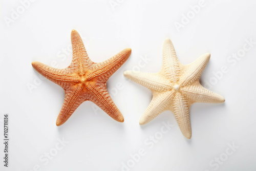 two starfish in different shades against a white background