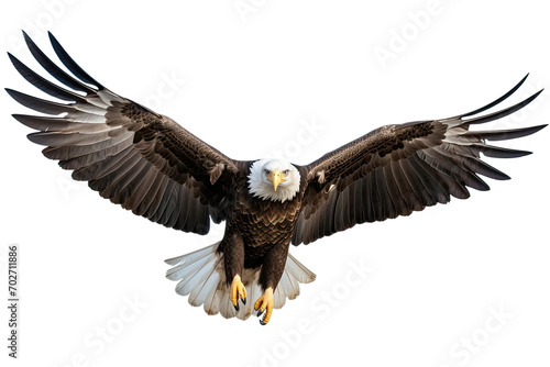 The Eagle Chronicles Isolated On Transparent Background