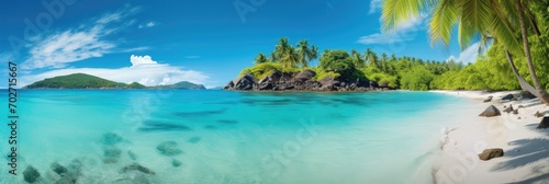 A panoramic view of a tropical beach with turquoise waters and palm trees 