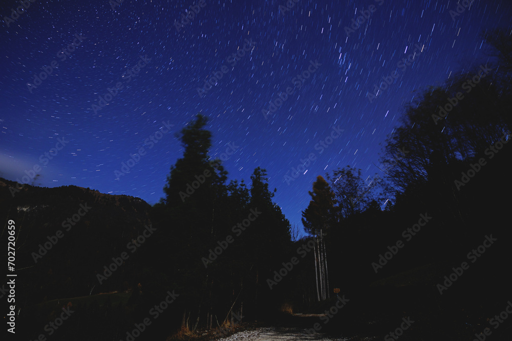 Cielo notturno e stellato, color blu, visto dal basso da un bosco in un ambiente di montagna in Slovenia, in una notte in autunno