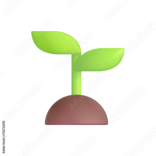 Seedling
