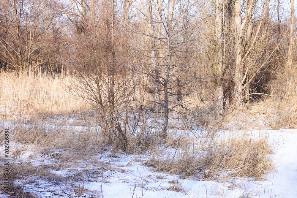 Winter landscape with trees in sunny weather Winter landscape with trees in sunny weather