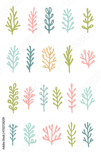 Collection of color vector illustrations of seaweed in flat style, variety of marine plants.