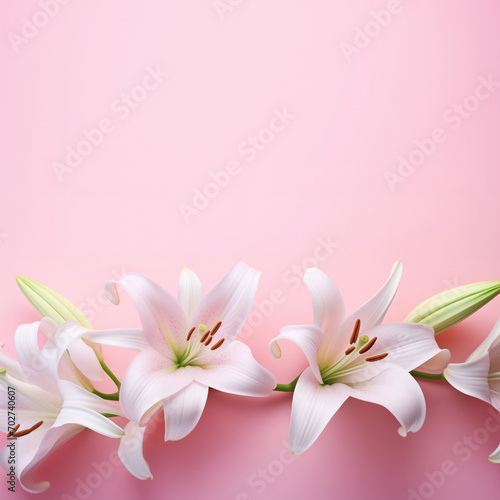 Beautiful floral background with white lily flower on pastel pink background.