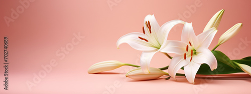 Beautiful floral background with white lily flower on pachy color background. Banner template for beauty spa wellness natural cosmetics concept. Peach fuzz. photo