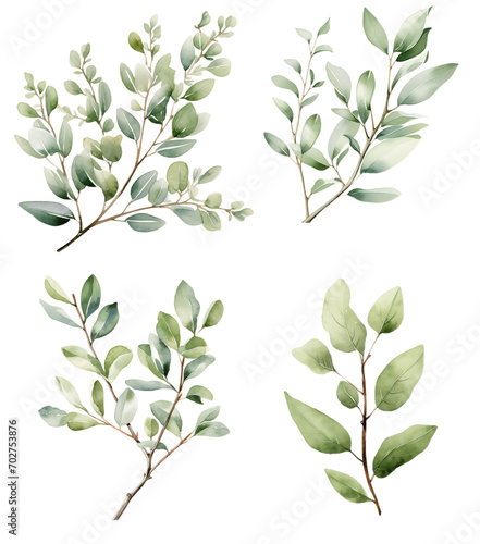 Wallpaper Mural Greenery branches watercolor set Torontodigital.ca