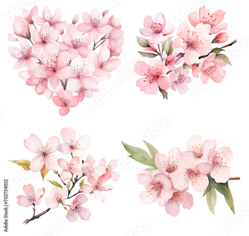 Cherry blossom watercolor set