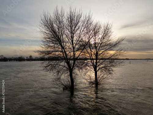 Nature's Inundation: Trees Submerged by the Overflowing River's Embrace