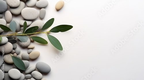 A branch of olive leaves and stones on a white background. This versatile asset is suitable for various designs like wellness and spa, nature and environment, and Mediterranean-inspired themes. 