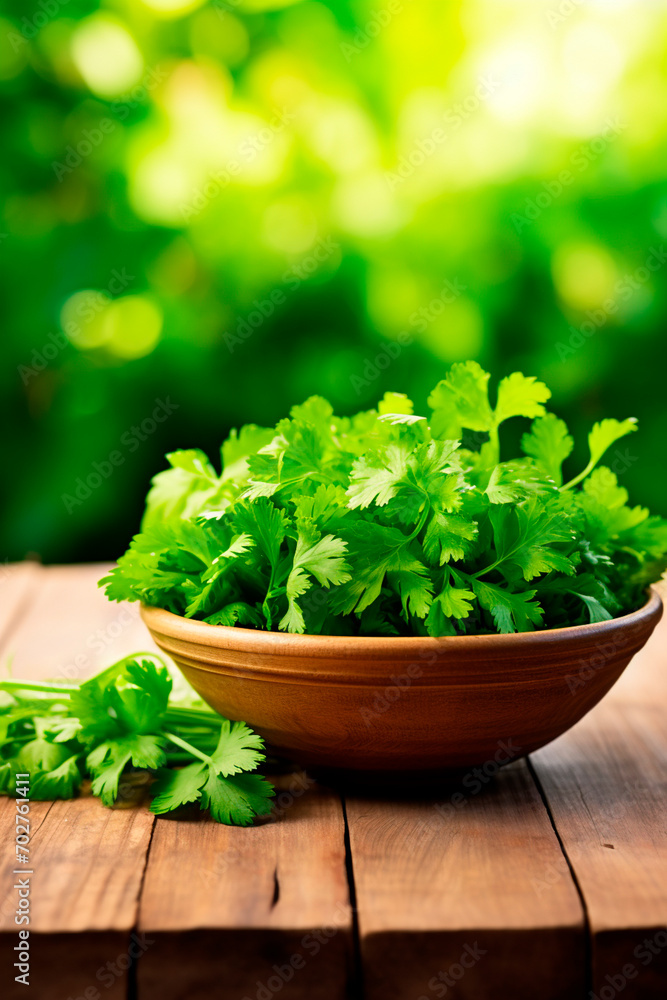 Cilantro in a bowl against the backdrop of the garden. Selective focus. Cilantro in a bowl against the backdrop of the garden. Selective focus.