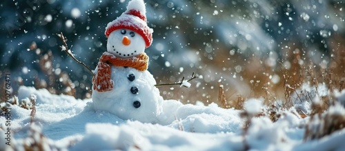 Joyful snowman in snowy wonderland.