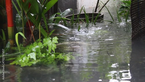 Water splash from raindrops on flood water puddles. The plants submerged in water photo