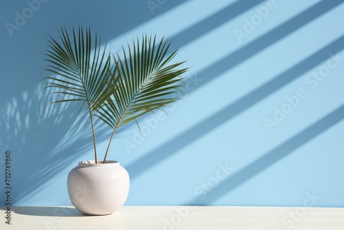  a palm tree in a white vase against a blue wall with a shadow of a palm tree on the wall.
