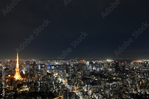 night view of Tokyo from Roppongi Hills