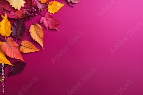  a bunch of different colored leaves on a pink background with a place for a text or an image to put on a card or brochure.