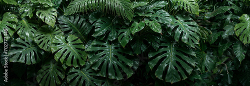 Monstera leaves tileable seamless background  panoramic floral  plants banner  tropical pattern header. Generative AI.