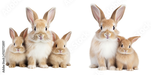 Set of adorable cute rabbits and their babies, isolated on white background 
