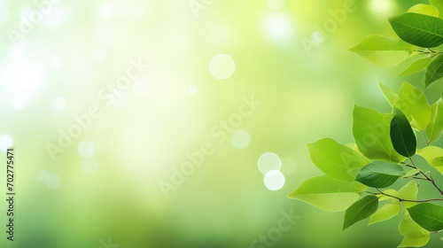 Fresh green leaves with bokeh effect on blurred nature background.