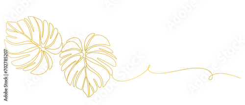 Monstera leaf line art style with transparent background eps