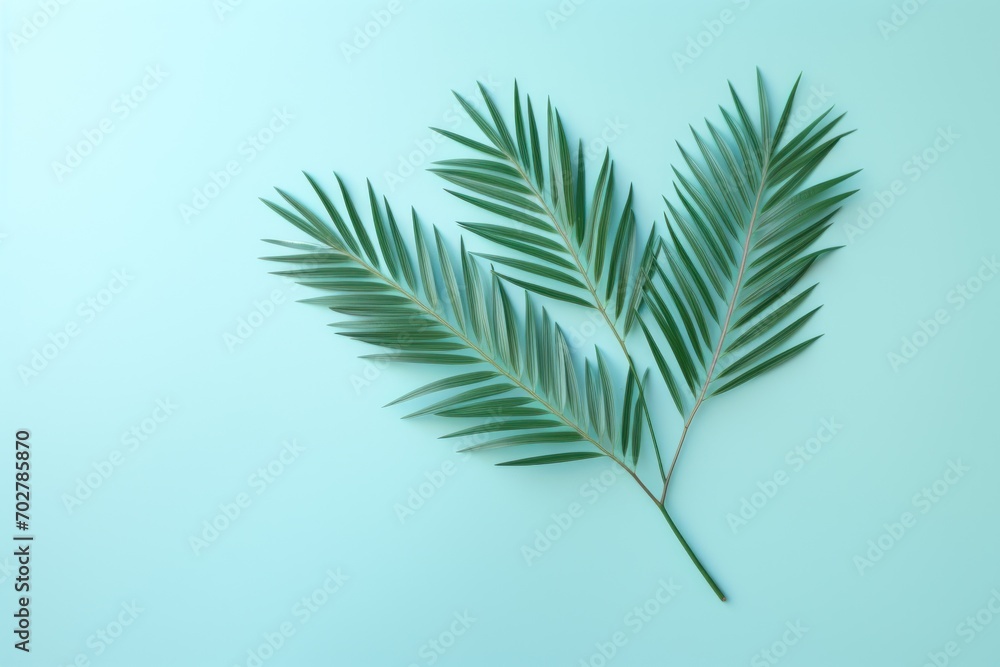  a close up of a palm leaf on a light blue background with a shadow of the leaves on the left side of the frame.