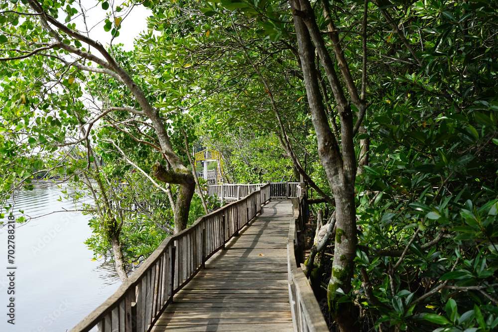 wooden bridge in the Indonesian mangrove forest wooden bridge in the Indonesian mangrove forest