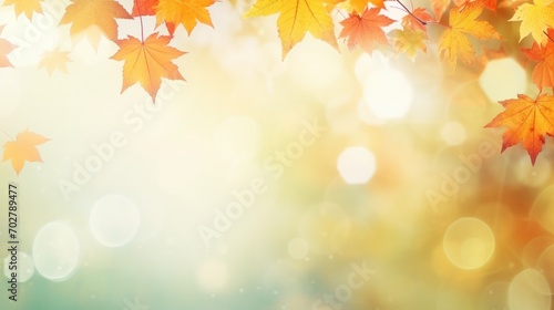 Autumn background with maple leaves © Cherdchai