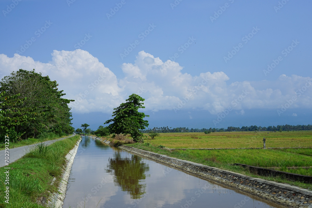 Fototapeta premium Rice field irrigation channels and village roads